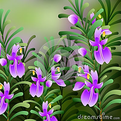 Rosemary background. Useful green herbs. delicious seasoning. tasty flavoring for food. Cartoon Illustration