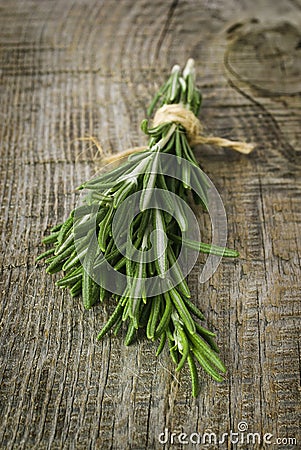 Rosemary Stock Photo