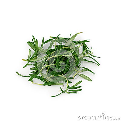 Rosemary bunch on white background Stock Photo