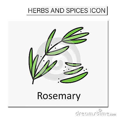 Rosemary color icon Vector Illustration