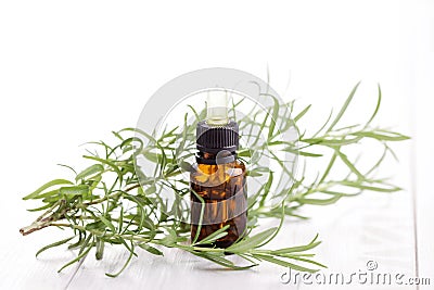 Rosemary essential oil Stock Photo