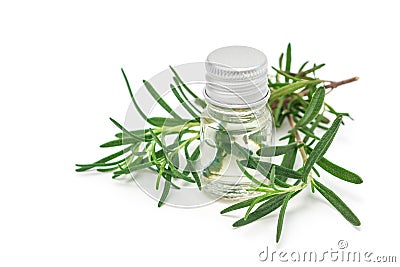 Rosemary essential oil in glass and fresh rosemary twig isolated Stock Photo