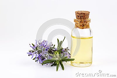 Rosemary essential oil in a small bottle. Natural aroma cosmetic oil Stock Photo