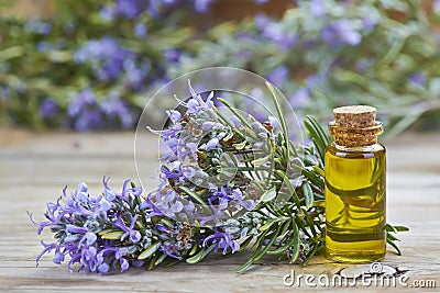 Rosemary essential oil Stock Photo