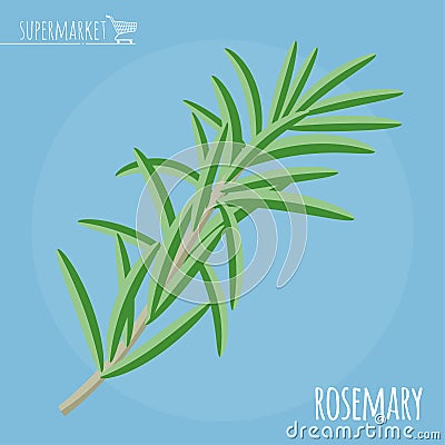 Rosemary flat design vector icon Vector Illustration