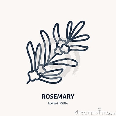 Rosemary flat line icon. Medicinal plant leaves vector illustration. Thin sign for herbal medicine, tree branch logo Vector Illustration