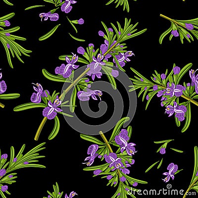 Rosemary flowers seamless texture Stock Photo