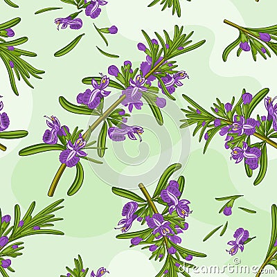 Rosemary flowers seamless texture Stock Photo