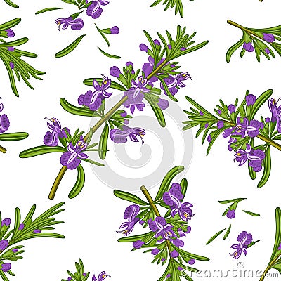 Rosemary flowers seamless texture Stock Photo