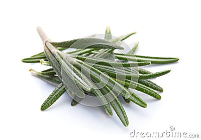 Rosemary herb Stock Photo