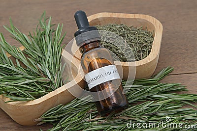 Rosemary herb and aromatherapy essential oil Stock Photo