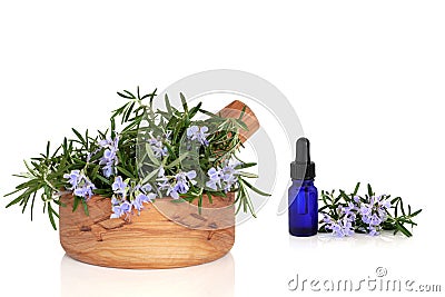 Rosemary Herb and Essence Stock Photo