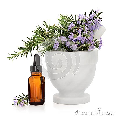 Rosemary Herb Essence Stock Photo