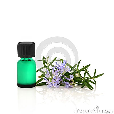 Rosemary Herb Essential Oil Stock Photo