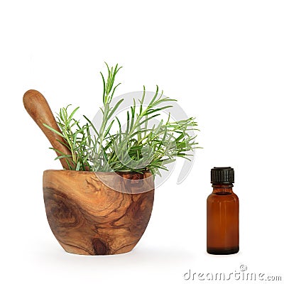 Rosemary Herb Essential Oil Stock Photo