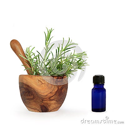 Rosemary Herb Essential Oil Stock Photo