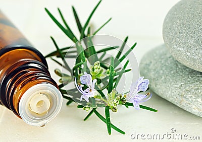 Rosemary Oil Stock Photo