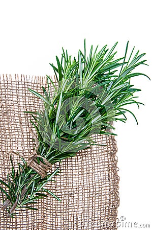 Rosemary sprigs tied in bundle isolated on white background Stock Photo