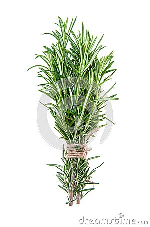 Rosemary sprigs tied in bundle isolated on white background Stock Photo