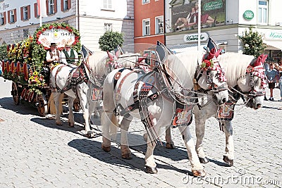 Rosenheim costume parade horse and cart Editorial Stock Photo