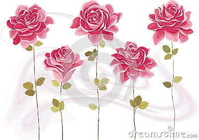 Roses Vector Illustration