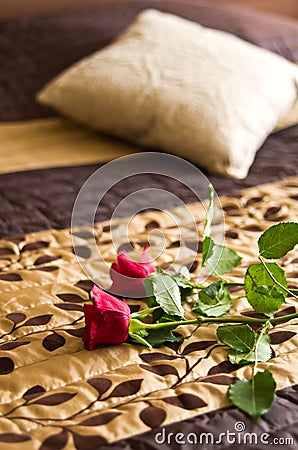 Roses on bed Stock Photo