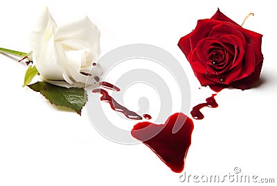 Roses bleeding a heart Stock Photo