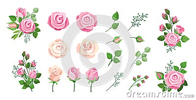 Roses bouquets. Vintage floral decoration, isolated flowers and branches. Floristic elements for invitation, banners or Vector Illustration
