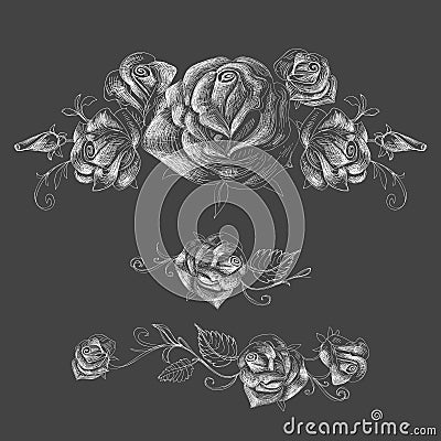 Roses design elements Vector Illustration