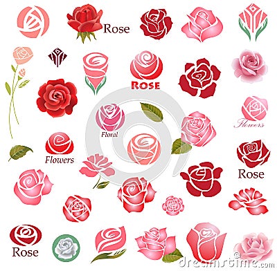 Roses design elements Vector Illustration