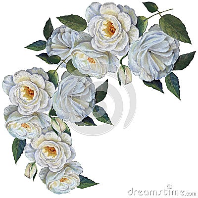 Roses drawing in pastel on white background. Cartoon Illustration