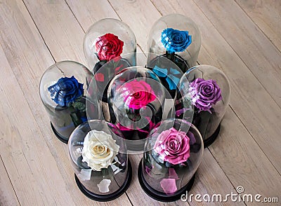 Roses in a flask under the glass. As a gift for the holiday. Stock Photo