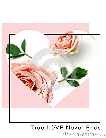 Roses flowers greetings card with love text quotes for Valentine Day Wedding Stock Photo