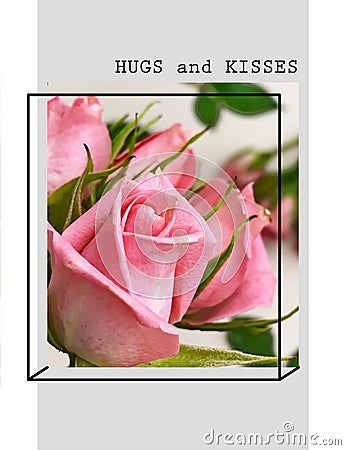 Roses flowers greetings card with love text quotes for Valentine Day Wedding Stock Photo