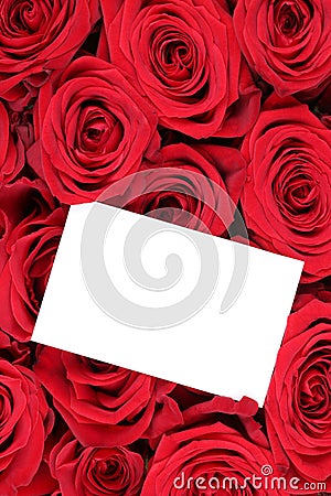 Roses flowers on Valentine's or mothers day with empty greeting Stock Photo