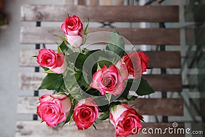 Beautiful multicoloured roses Stock Photo