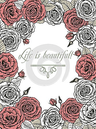 Roses. greeting card Vector Illustration