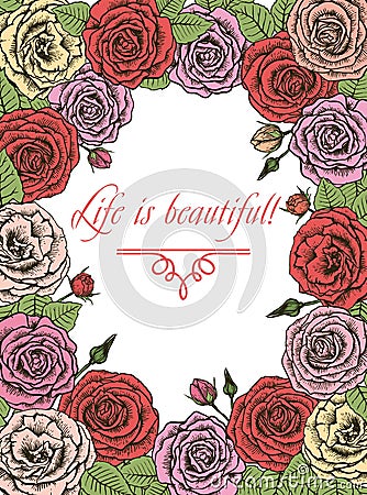 Roses. greeting card Vector Illustration