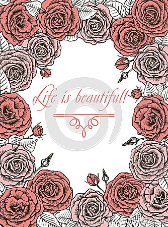 Roses. greeting card Vector Illustration