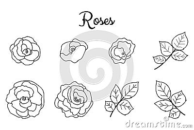 Roses linear set collection. Rose flowers with leaves isolated on white background. Vector elements illustration for Vector Illustration