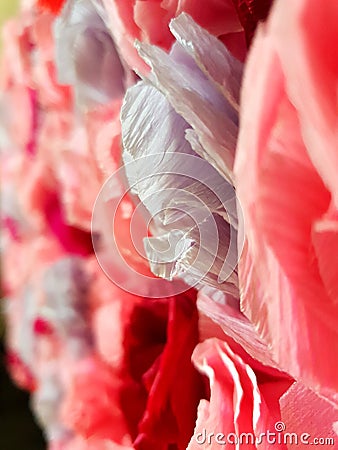 roses made of paper. origami Stock Photo