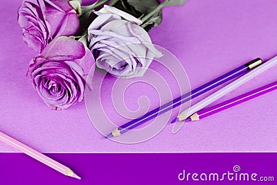 Roses, paper, pencils of pink and purple Stock Photo