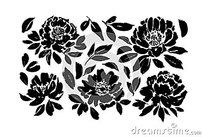 Roses, peonies, chrysanthemums hand drawn vector set. Black brush paint flower silhouettes with leaves. Vector Illustration