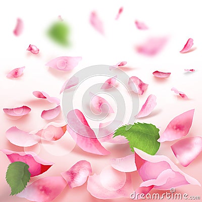 Rose petals falling romance blank frame Stock Photo