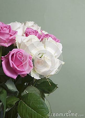 Roses posy over green background Stock Photo