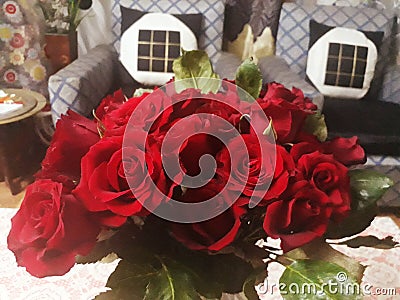 Roses Stock Photo