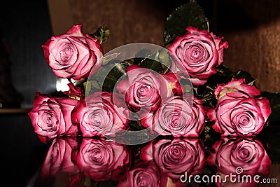 Roses reflected on the surface. Mirroring colors Stock Photo