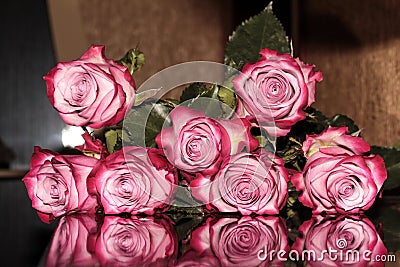 Roses reflected on the surface. Mirroring colors Stock Photo