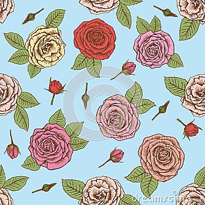 Roses. seamless background Vector Illustration