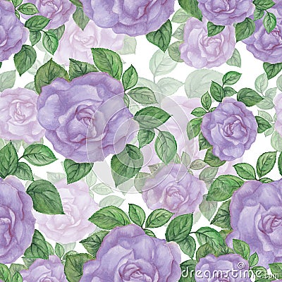 Roses seamless pattern Stock Photo